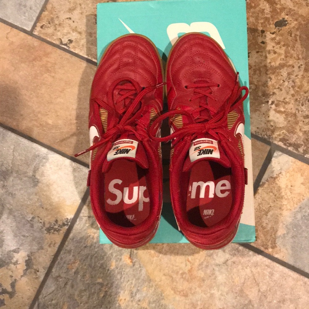 SUPREMExNIKE SB gato 🔥🔥